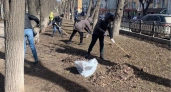 В Кирове состоится очередной субботник в овраге Засора