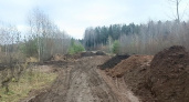 Власти Кирова пояснили ситуацию с заваленной дорогой у Федяковского кладбища