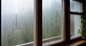 С конденсатом на окнах можете попрощаться: решить проблему влажных стекол помогут 3 простейших хитрости