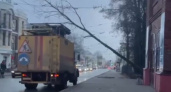 В Кирове порывы ветра повалили не менее четырех деревьев