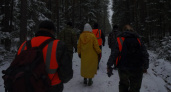 В Кировской области в ноябре пропали 24 человека, нашлись только 20