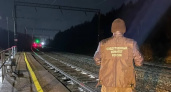 В Кировской области за 2025 год поезда сбили 15 человек, 12 из них скончались