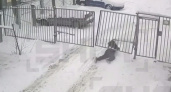 В Кирове житель пролез под рухнувшим забором, чтобы попасть во двор