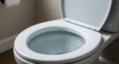Что не так с американскими унитазами: почему вода почти до краёв и ершик не нужен