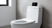 Ходить в туалет на унитаз больше не в моде: новый туалетный тренд скоро дойдет и до России