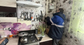 В Кирово-Чепецком районе пресекли самовольное подключение к газовым сетям