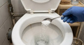 Соль в унитаз на ночь: утром результат удивил — лайфхак от профессиональной горничной