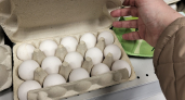 Эксперты подсказали россиянам, как выбрать качественные яйца и творог на Пасху