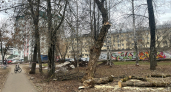 В Кирове продолжают убирать аварийные деревья, упавшие после урагана