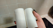 Втулки от туалетной бумаги берегу как зеницу ока: 4 неожиданных способа применения в хозяйстве