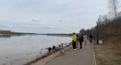 В Кирове создадут проект по благоустройству нижней набережной реки Вятки