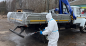 Карантин по бешенству ввели в одном из поселений на юге Кировской области
