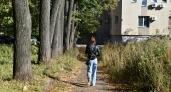 В Кирове 21-летняя девушка отдала незнакомке 9 миллионов рублей в восьми валютах