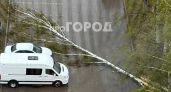 В Кирове на фоне непогоды ГЖИ обеспокоилась наличием опасных деревьев во дворах