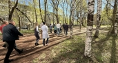 В Кирове создавать единую сеть пешеходных дорожек в парке Победы начнут в мае
