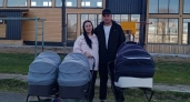 В Лузском районе родились тройняшки