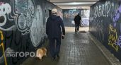 Более 1800 обращений поступило от жителей Кировской области за неделю