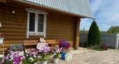 Эти растения - кошмар садовода: 10 культур, которые я больше никогда не посажу - и вам не советую