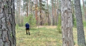Весенний сезон охоты на пернатую дичь закрылся в Кировской области