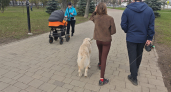 В Советске хозяйка злого пса создала угрозу распространения смертельного вируса