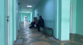 Ситуацию с частотой нападения клещей на кировчан прокомментировало правительство