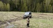 Оправданного судом охотника из Пижанки все равно заставили платить за труп лося
