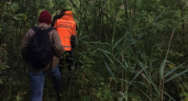 В Котельниче бесследно пропал мужчина в черной рубашке: он мог потерять память