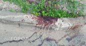 Кровавый конфликт в поселке: молодому жителю Оричевского района грозит до 10 лет тюрьмы