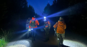 Двое погибли, четверо не найдены: кировские поисковики озвучили данные за май
