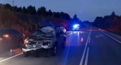 Выбежавший на трассу лось стал причиной жуткой аварии в Юрьянском районе