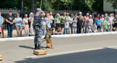  В День России кировчане смогли познакомиться с работой полиции изнутри