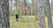 В Кировской области браконьера наказали за незаконный отстрел бобра