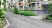 В Кирове реализовали около 50% проектов поддержки местных инициатив