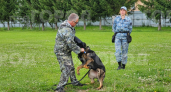 "Нашли взрывчатку и поймали преступника": немецкие овчарки выступили в преддверии Дня кинолога 