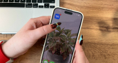 Как вернуть уведомления ВКонтакте на iPhone: рабочий способ после удаления из App Store