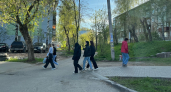 Вузы больше не нужны? 5 специальностей из колледжа, где зарабатывают больше айтишников