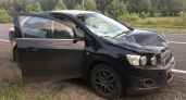 На трассе под Кировом выбежавший лось проломил лобовое стекло легковушки