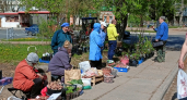Почему мы остаемся в одиночестве в старости: 9 мудрых уроков от Алисы Фрейндлих
