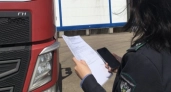 Из Кировской области отправили 168 тонн куриных лапок в Китай