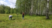 Клещи перестают зверствовать в Кировской области