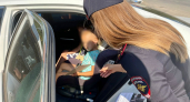 В Кирове полицейские будут массово останавливать машины с детьми в салоне