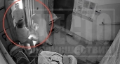 В Кирове возбудили дело после зверского нападения на супругов-пенсионеров