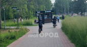 "Страшно идти по тротуару": прогулки по городу превратились для кировчан в игру на выживание из-за питбакейров