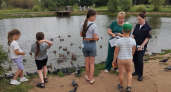 В Кирове полицейские разгоняют слоняющихся у воды детей