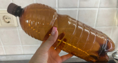 Обычная бутылка стала находкой для рыбалки: приманки, крючки и мелочь теперь всегда под рукой