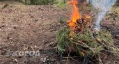 В Кировской области прогнозируют высокую пожарную опасность, леса могут загореться от любой искры