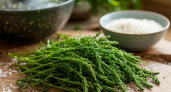 Как правильно солить папоротник: чтобы был вкус и плотность, как у соленых грибов - важный этап с холодной водой