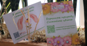 "ЭнергосбыТ Плюс" провел с начала года более 20 выездных мероприятий в рамках "Дней клиента" в Кировской области