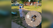 "Дети не могу гулять, а воспитатели в ужасе!": площадку в детском саду в Макарье оккупировали осы