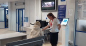 «Ростелеком» организовал зоны Wi-Fi в клиентских службах Социального фонда РФ по Кировской области